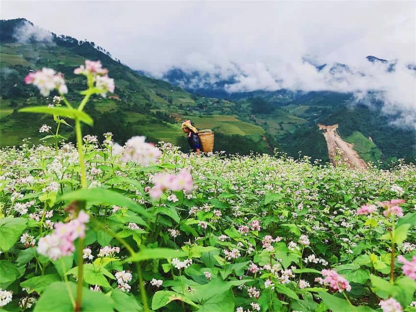 voyage-en-groupe-a-yenbai-vietnam