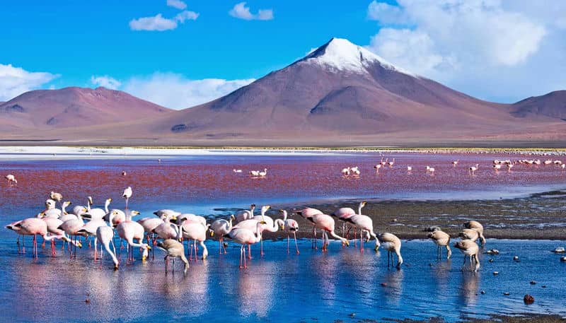 bons-plans-pour-un-voyage-a-bolivie