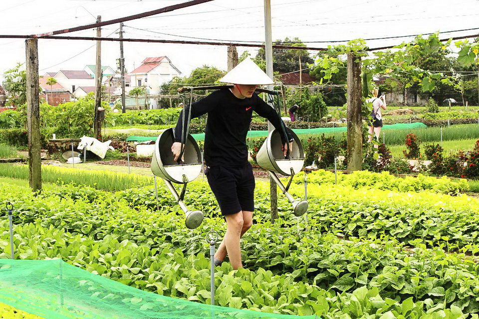 village-de-legumes-de-tra-que