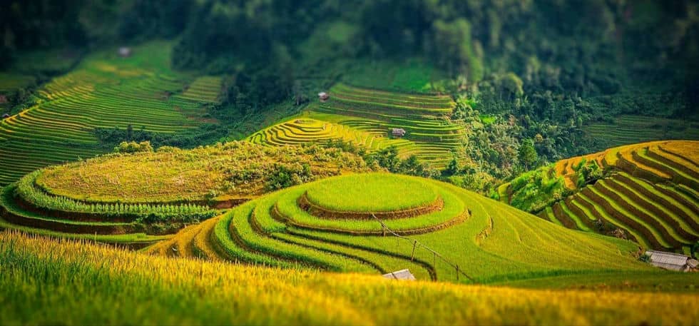 guide-complet-de-mu-cang-chai-paradis-des-rizieres-en-terrasse