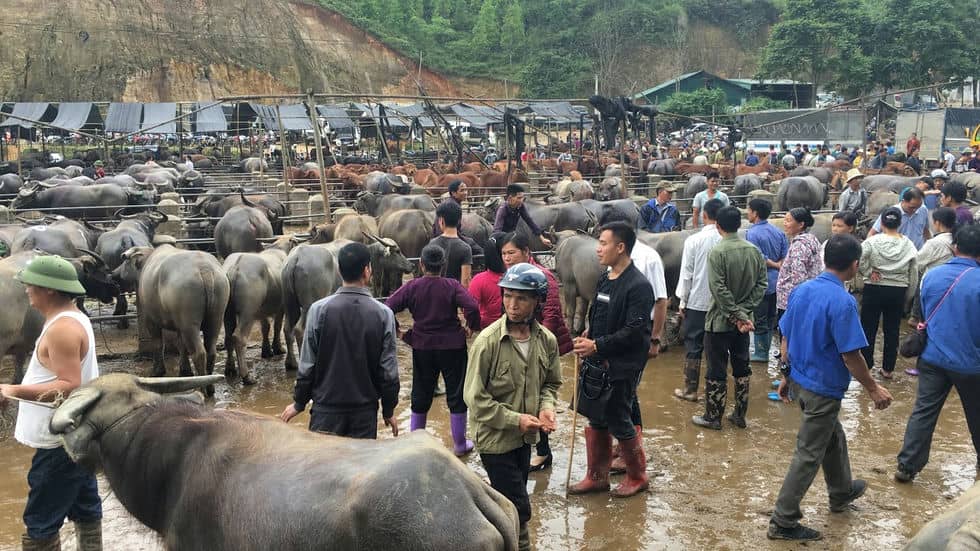 Cao_Bang_Viet_Nam