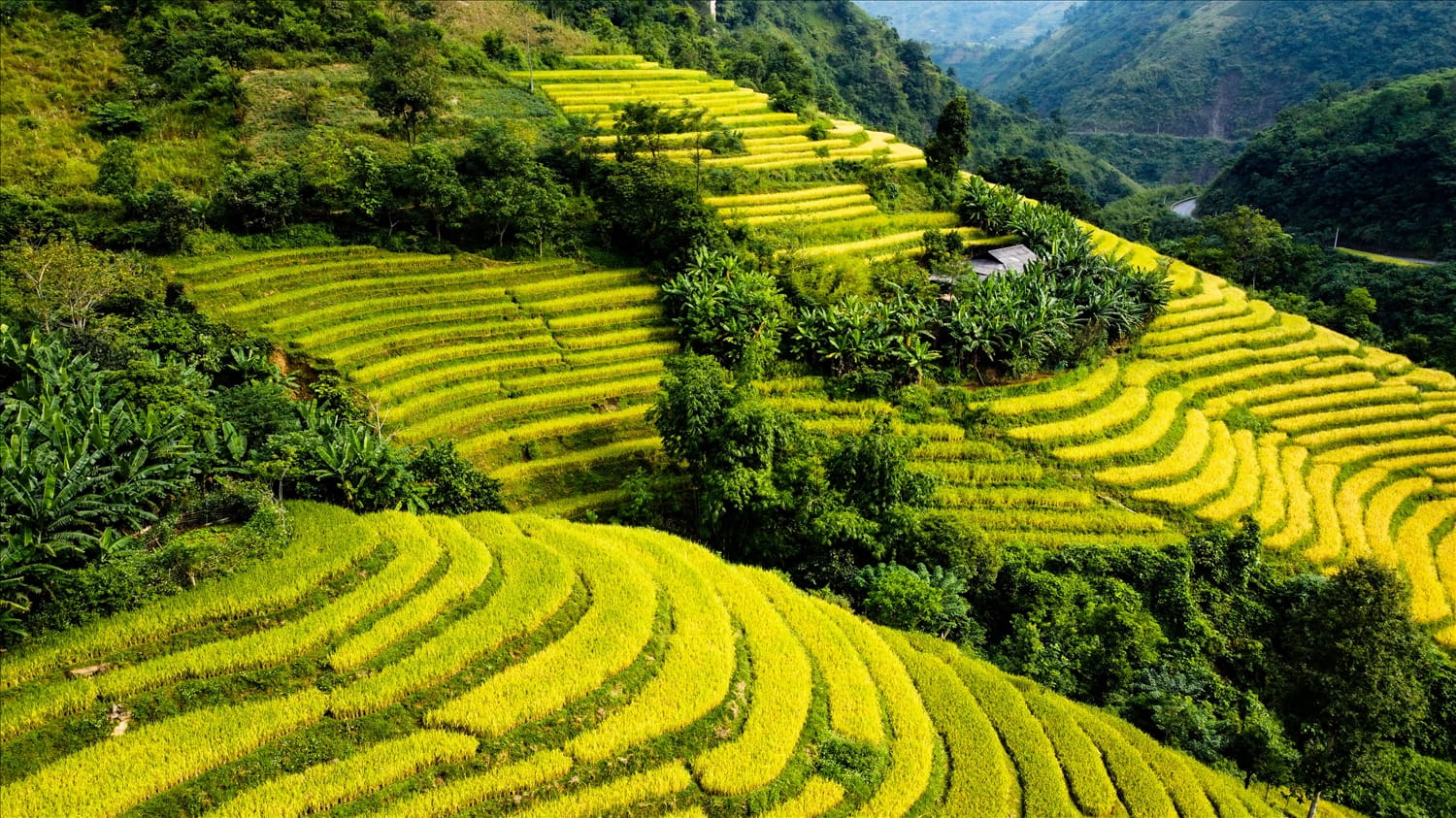 que-faire-a-bao-lac-au-vietnam