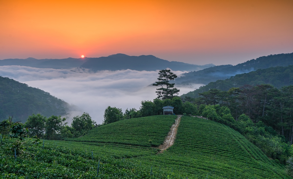 ou-admire-les-plus-beaux-levers-de-soleil-au-Vietnam