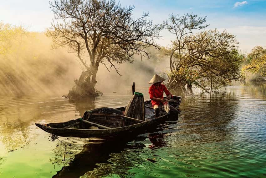 mangrove-de-Ru-Cha-a-Hue