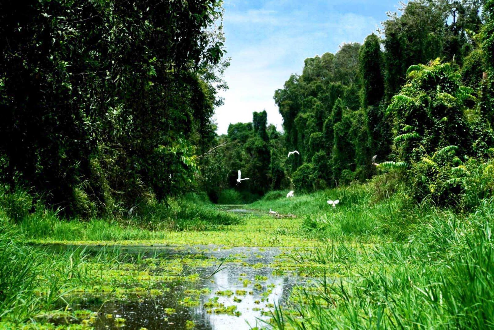 site-ecotouristique-de-Gao-Giong-a-Dong-Thap