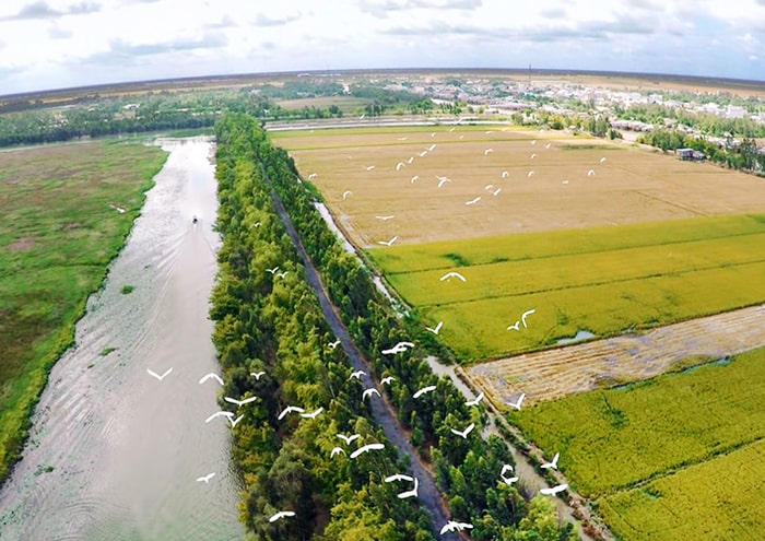 site-ecotouristique-de-Gao-Giong-a-Dong-Thap