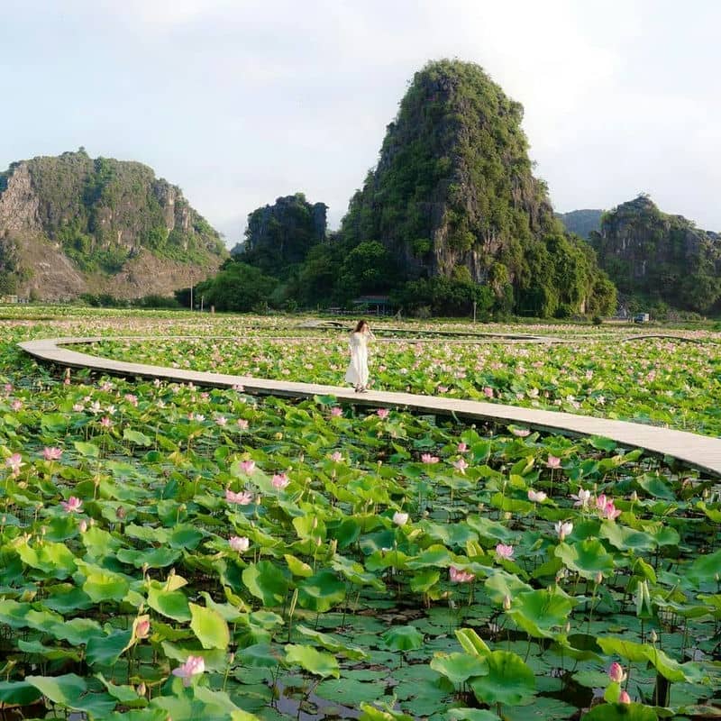 ninh-binh-guide-de-voyage-detaille-sur-le-joyau-cache-du-vietnam
