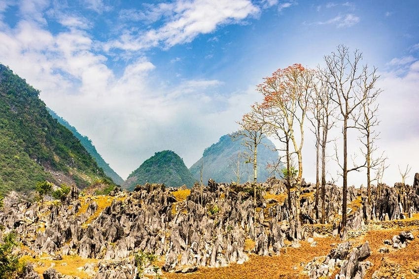 pourquoi-faire-du-trekking-au-vietnam-avec-une-agence-de-voyage-locale