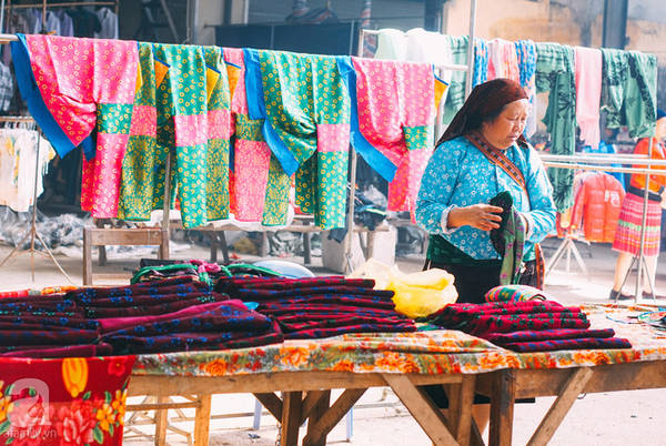 meo-vac-les-incontournables-et-le-guide-pratique