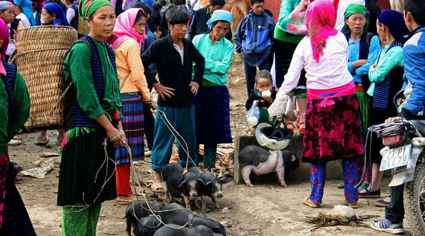 marche-de-meo-vac-destination-phare-de-la-boucle-de-ha-giang