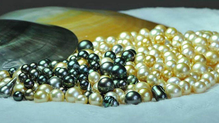 ou-peut-on-visiter-les-fermes-perlieres-au-vietnam