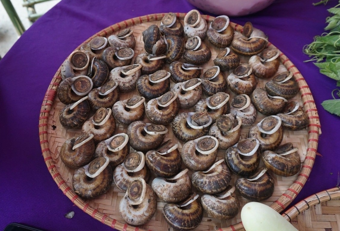 top-15-plats-incontournables-de-quang-binh