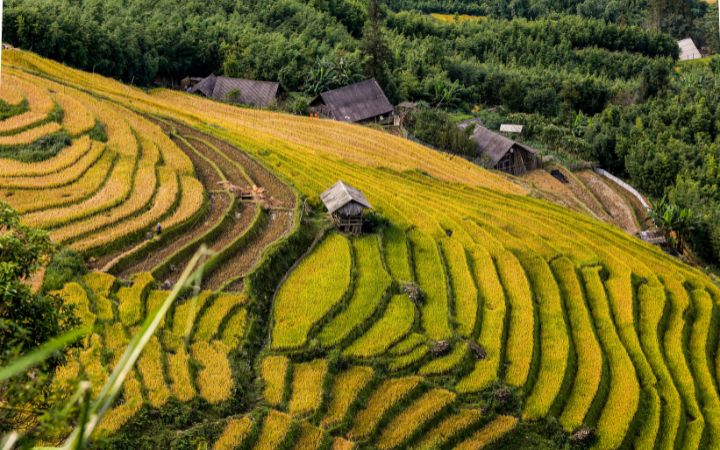 voyager-au-vietnam-en-juin