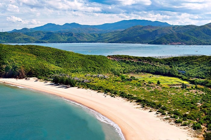 province-de-phu-yen-song-cau-et-ile-robinson