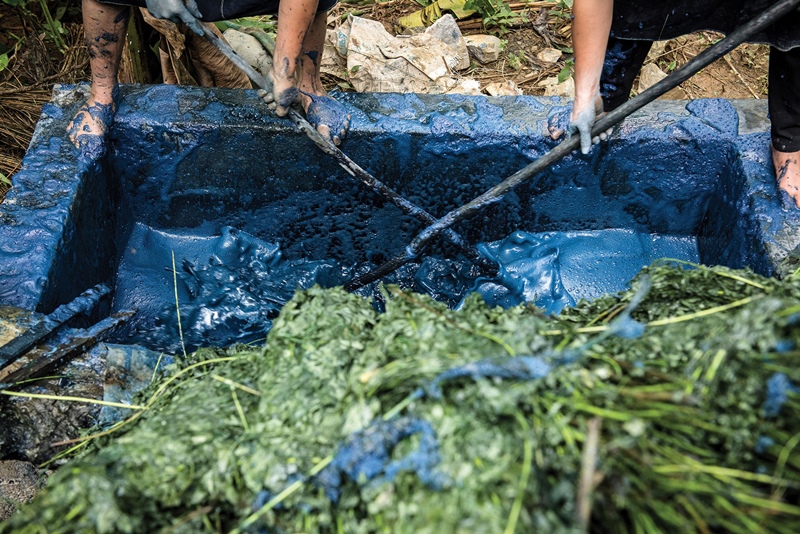 teinture-indigo-au-vietnam