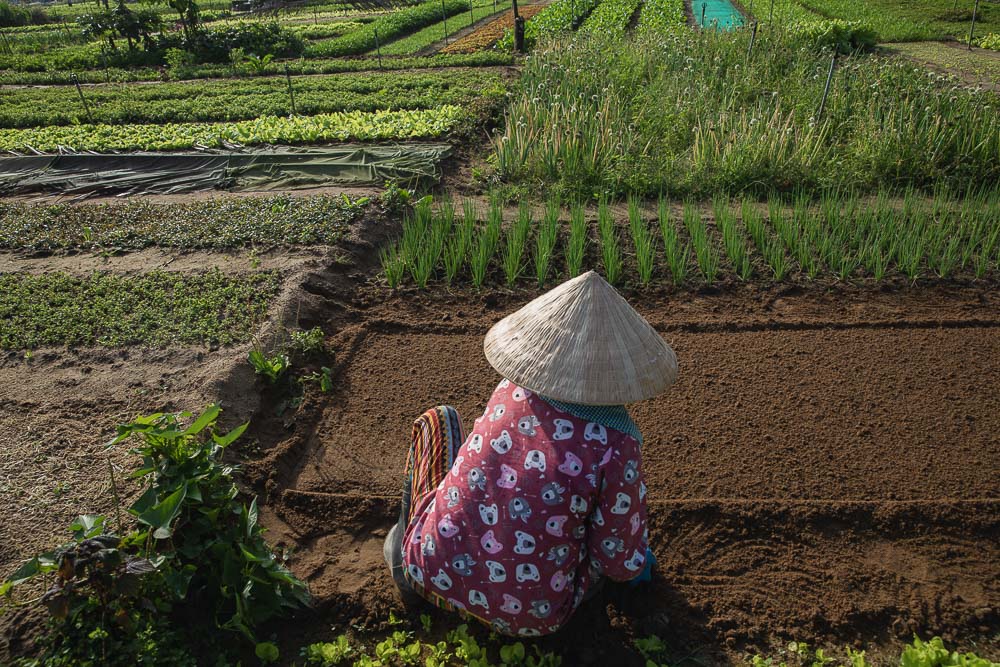 top-15-des-plus-beaux-villages-au-vietnam-du-nord-au-sud