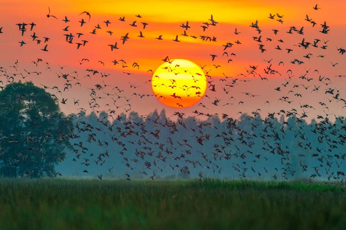 Top 10 des meilleurs lieux d’observation de la faune au Vietnam