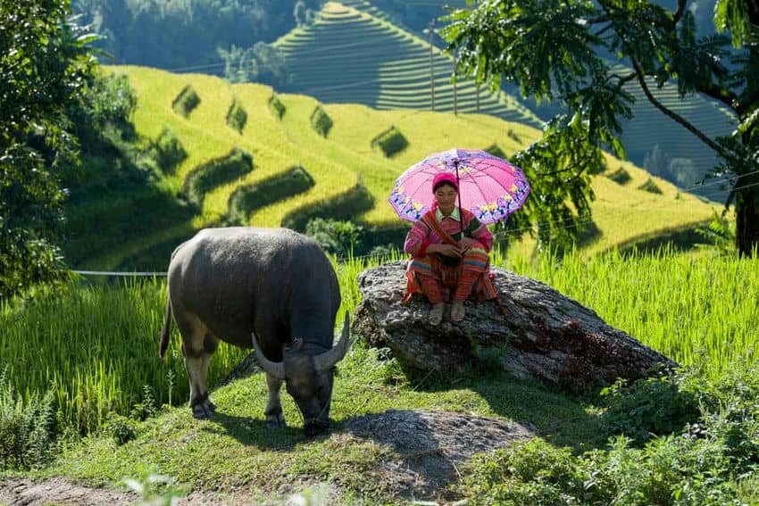 top-10-plus-beaux-endroits-a-visiter-dans-le-nord-est-vietnam