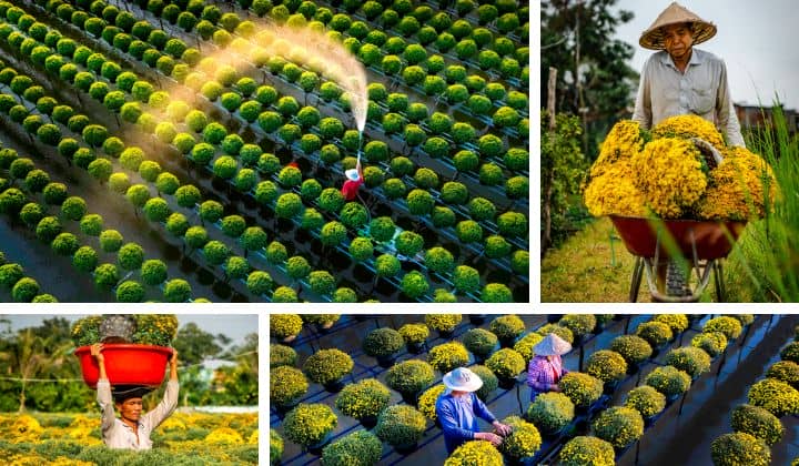 top-15-des-plus-beaux-villages-au-vietnam-du-nord-au-sud